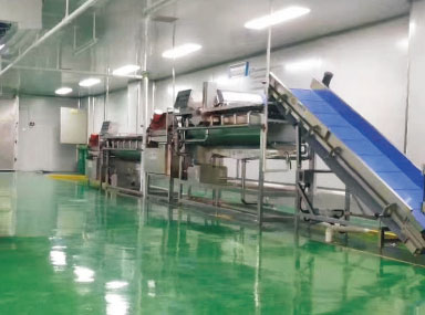 净菜加工中心介绍